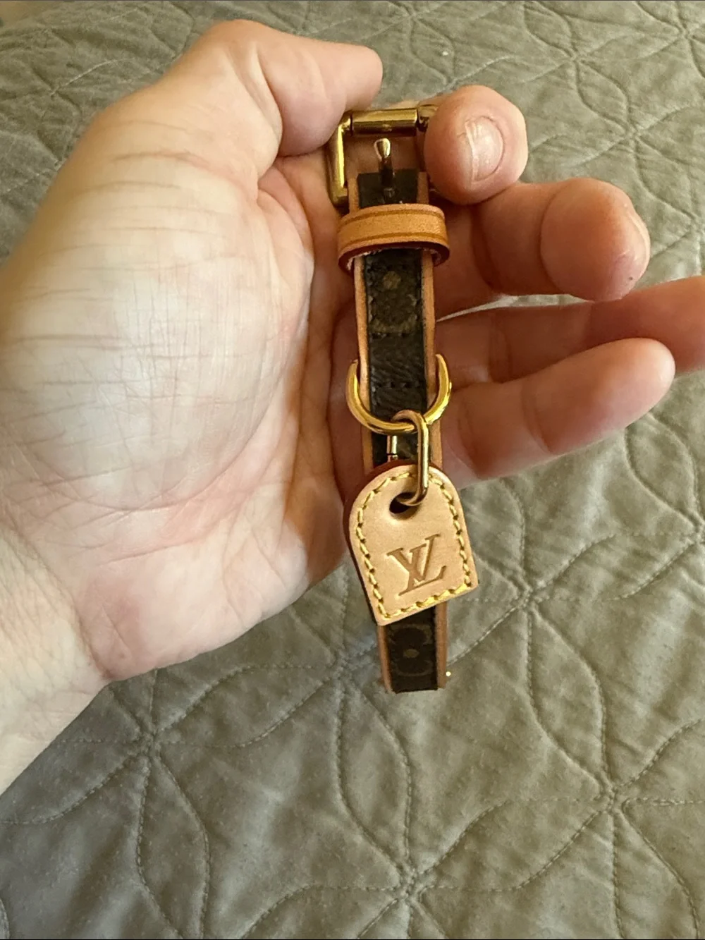 Louis Vuitton Barter Dog collar